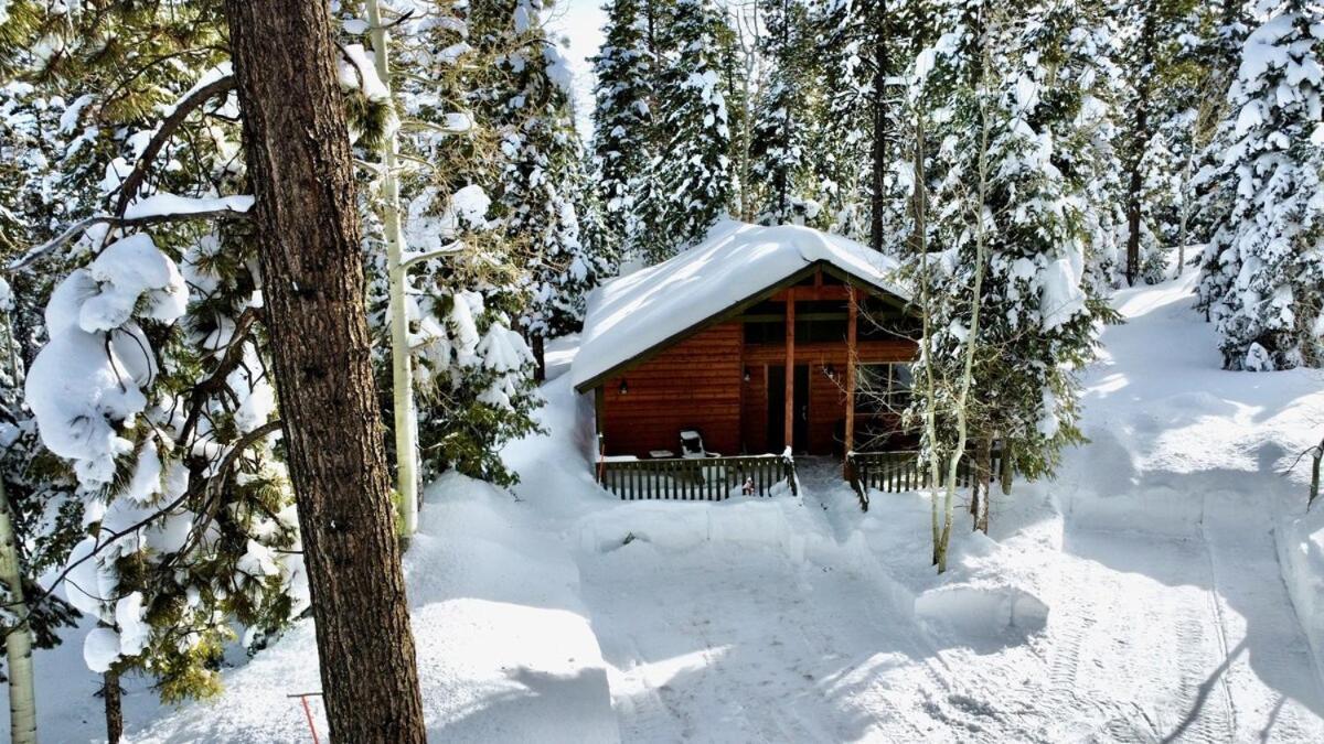 Casa vacanze Lovely Log With Fire Pit! Duck Creek Village